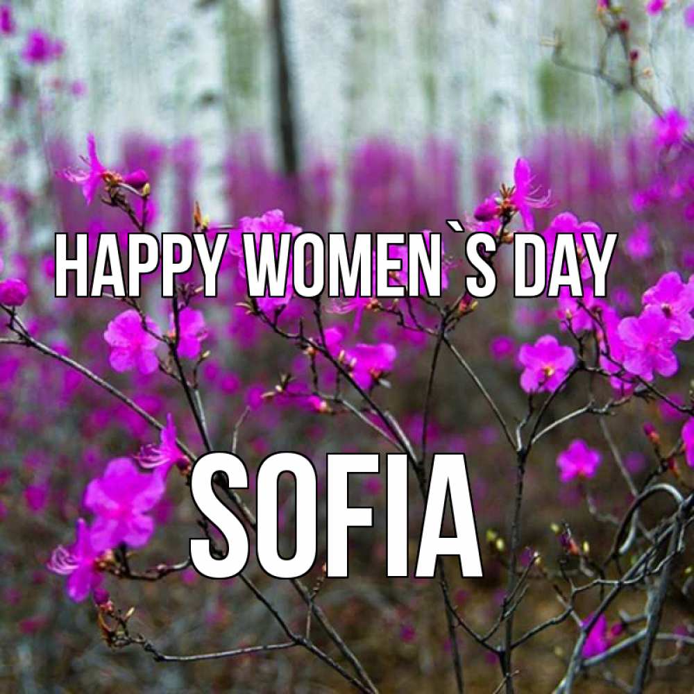Greetings card с именем, Sofia happy women`s day дикие цветы Greetings with text for free download 